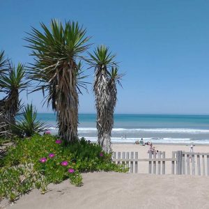 Playas de Pinamar