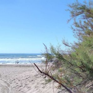 Playas de Pinamar